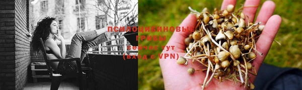 скорость Дмитров